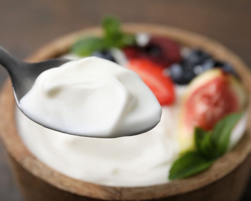 yogurt yogurt
