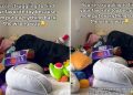 Video of Dog Searching For His Toy Ends Hilariously