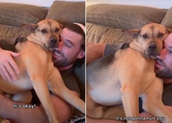 Rescue Puppy Reacts After a Candle Is Lit in Adorable Video
