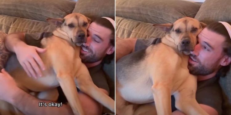 Rescue Puppy Reacts After a Candle Is Lit in Adorable Video