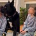 Video: Dog & Kid Look in the Same Direction at the Same Time