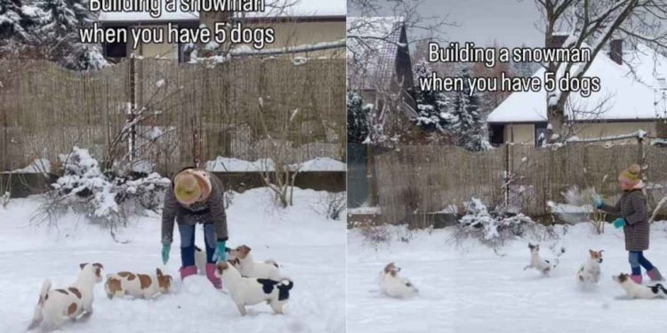 Video: What It’s Like to Build a Snowman With 5 Dogs Around