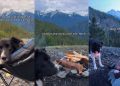 Video: Dog Fails To Understand Concept of Campfires