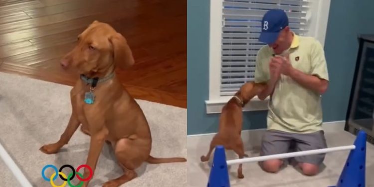 Video: Dog Competes With Herself in Homemade Winter Olympics