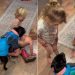 Video: Staffy Is Invested in ‘Playing Pretend’ With Kids