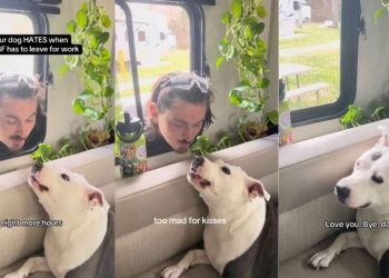 Video: Dog Doesn’t Want Dad to Leave for Work