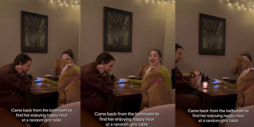 Golden Retriever Enjoys Her Happy Hour at a ‘Random Girls Table’